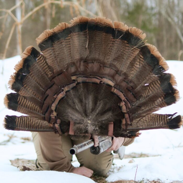 The ShowStopper | Turkey Fan Gun Barrel Mount - Image 2