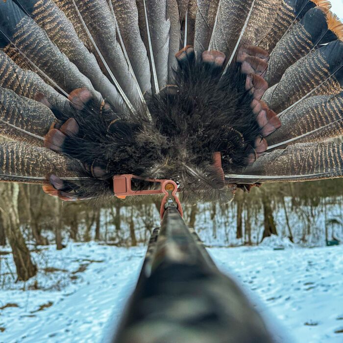 The ShowStopper | Turkey Fan Gun Barrel Mount - Image 3